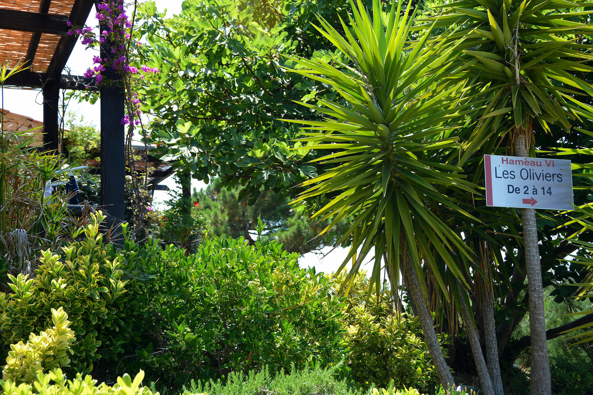 Residence Alba Rossa Serra-di-Ferro  Exterior foto